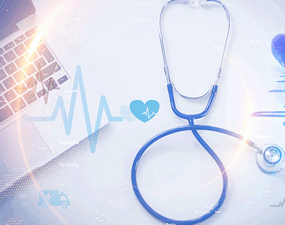 樂(lè)安村草皮種植面積多少