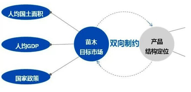 學(xué)習(xí)國外苗木行業(yè)經(jīng)驗，搶先了解國內(nèi)市場動態(tài)