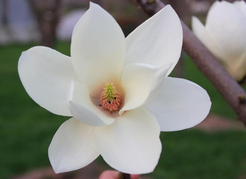 1648611666371384.jpg 1648611666371384.jpg