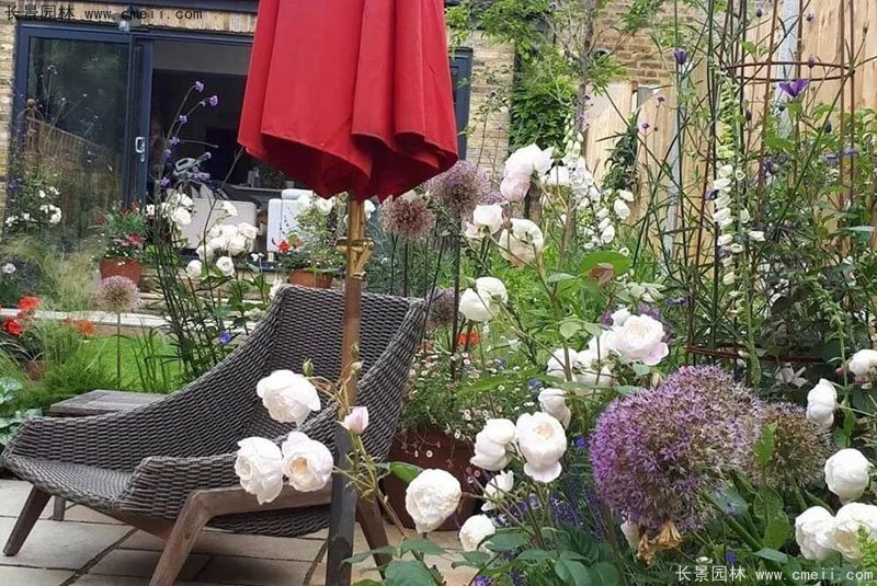 別墅庭院子四季開(kāi)花植物 別墅庭院子四季開(kāi)花植物